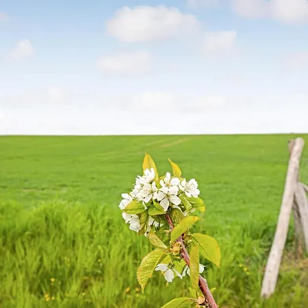 6 Bedroom Cozy In Rønne